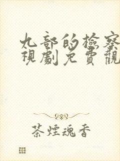 九部的检察官电视剧免费观看封面