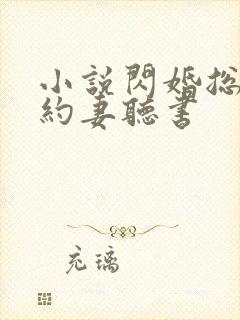 小说闪婚总裁契约妻听书