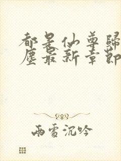 都是仙尊归来洛尘最新章节