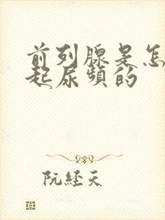 前列腺是怎么引起尿频的