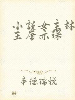 小说女主林舒男主唐亦琛