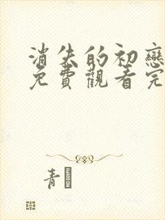 消失的初恋日剧免费观看完整版封面