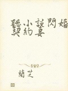 听小说闪婚总裁契约妻