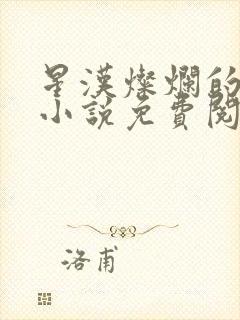 星汉灿烂的原著小说免费阅读封面