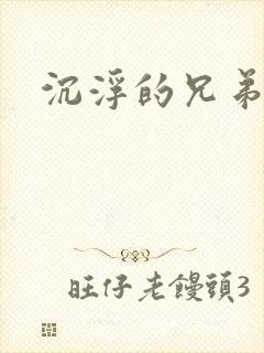 沉浮的兄弟封面