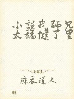 小说我师兄实在太稳健了里