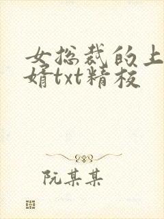 女总裁的上门龙婿txt精校
