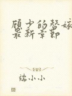 顾少的替嫁甜妻最新章节封面