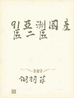 91亚洲国产一区二区