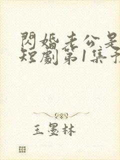 闪婚老公是总裁短剧第1集预告