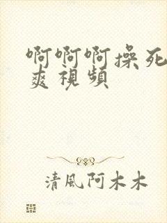 啊啊啊操死我好爽视频封面