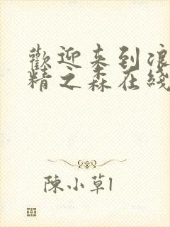 欢迎来到浪荡妖精之森在线观看