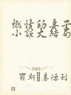 燃情的妻子方雪小说大结局