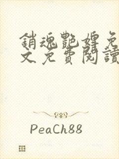 销魂艳婢免费全文免费阅读