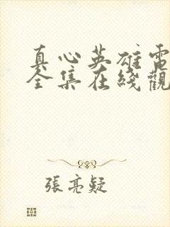 真心英雄电视剧全集在线观看免费高清