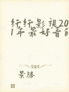 纤纤影视2021年最好看的电视剧