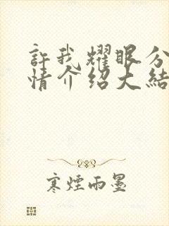 许我耀眼分集剧情介绍大结局