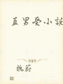 直男受小说h