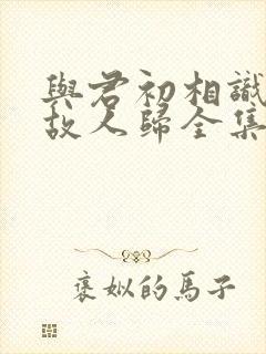 与君初相识恰似故人归全集在线观看