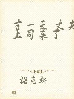 有一天 丈夫的上司来了