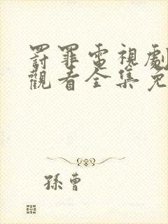 罚罪电视剧在线观看全集免费