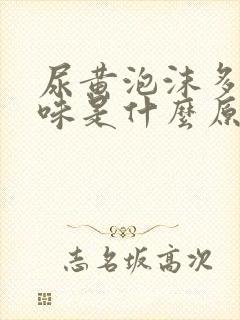 尿黄泡沫多有异味是什么原因