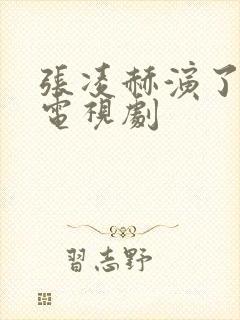 张凌赫演了哪些电视剧