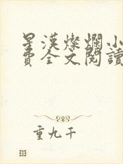 星汉灿烂小说免费全文阅读下载