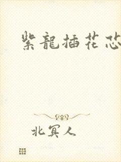 紫龙插花芯封面