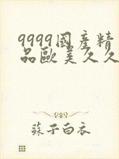 9999国产精品欧美久久久久久