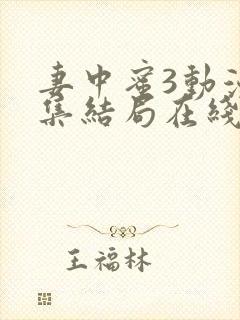 妻中蜜3动漫全集结局在线观看