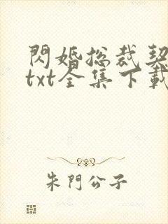 闪婚总裁契约妻txt全集下载封面