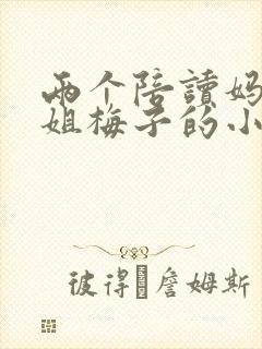 两个陪读妈妈赵姐梅子的小说