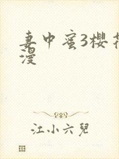 妻中蜜3樱花动漫