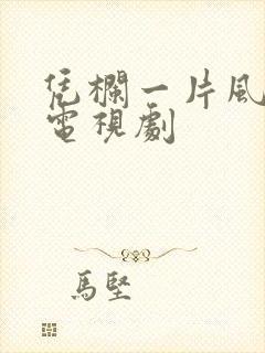 凭栏一片风云起电视剧