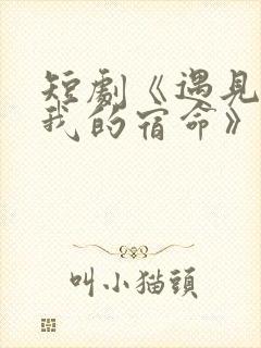 短剧《遇见你是我的宿命》在线观看