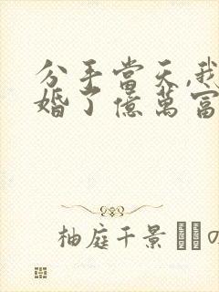 分手当天,我闪婚了亿万富豪短剧