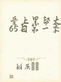 爱上黑帮大佬365日第一季