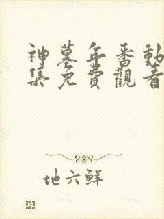 神墓年番动漫全集免费观看