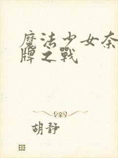 魔法少女奈叶王牌之战