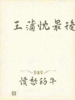 王蒲忱最后结局封面