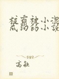 校霸被小混调练成狗的小说