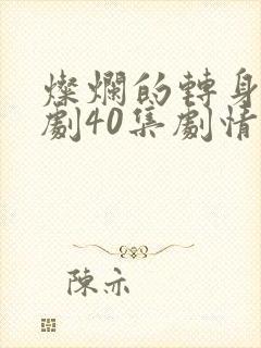 灿烂的转身电视剧40集剧情封面