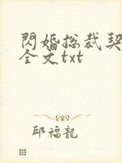 闪婚总裁契约妻全文txt封面