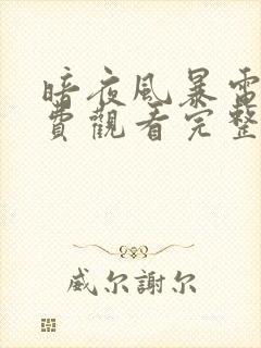 暗夜风暴电影免费观看完整版