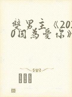 双男主《2020因为爱你》免费观看