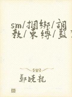 sm/捆绑/调教/束缚/监禁/羞辱/虐待