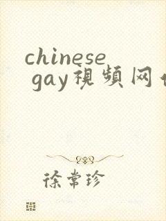 chinese gay视频网站在线观看