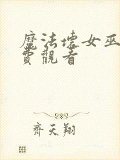 魔法坏女巫1免费观看封面