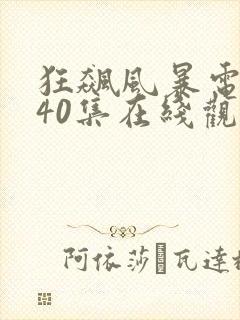 狂飙风暴电视剧40集在线观看免费